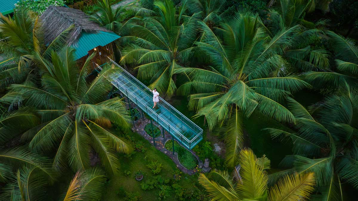 Want a Relaxing Vacation on a Farm in Kerala? Check Out Thanima Farm Life!